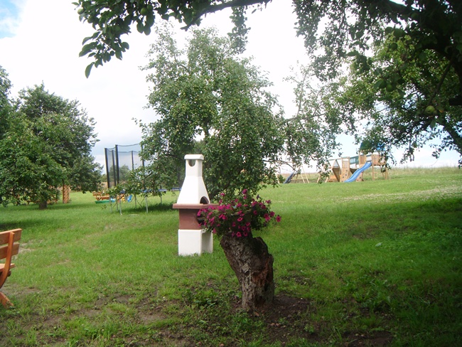 galeria-zdjec_15