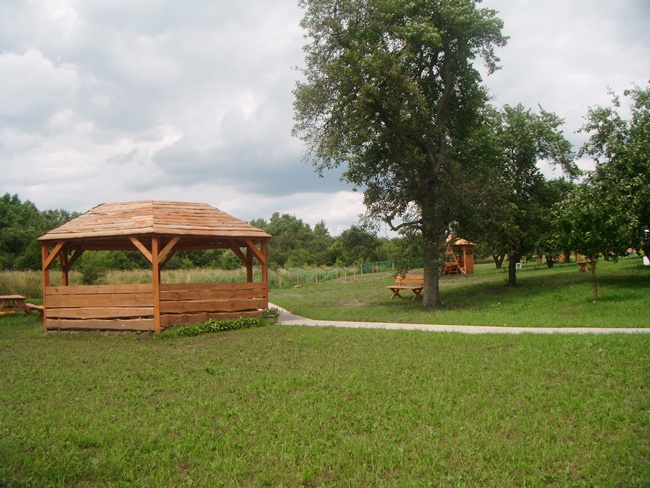 galeria-zdjec_19