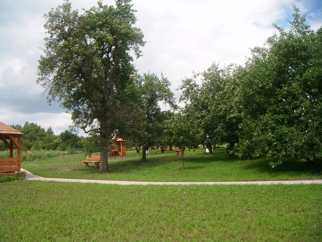 galeria-zdjec_20