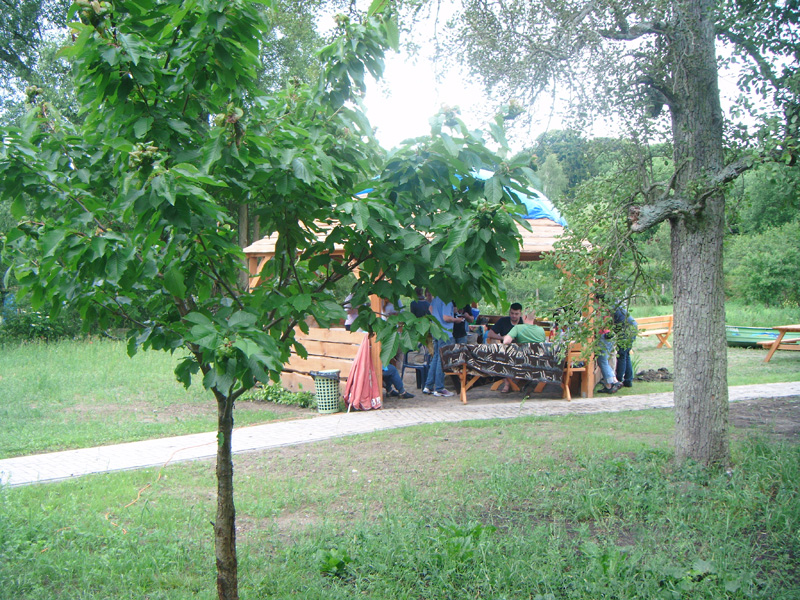 galeria-zdjec_8
