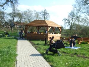 majowka-2013_2